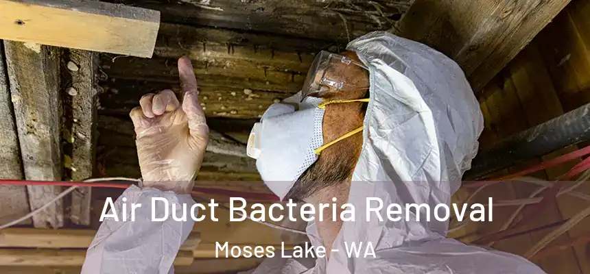 Air Duct Bacteria Removal Moses Lake - WA
