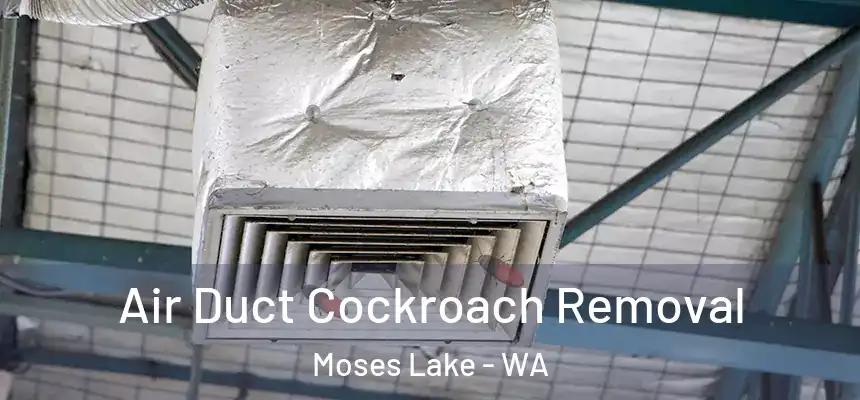  Air Duct Cockroach Removal Moses Lake - WA