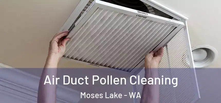 Air Duct Pollen Cleaning Moses Lake - WA