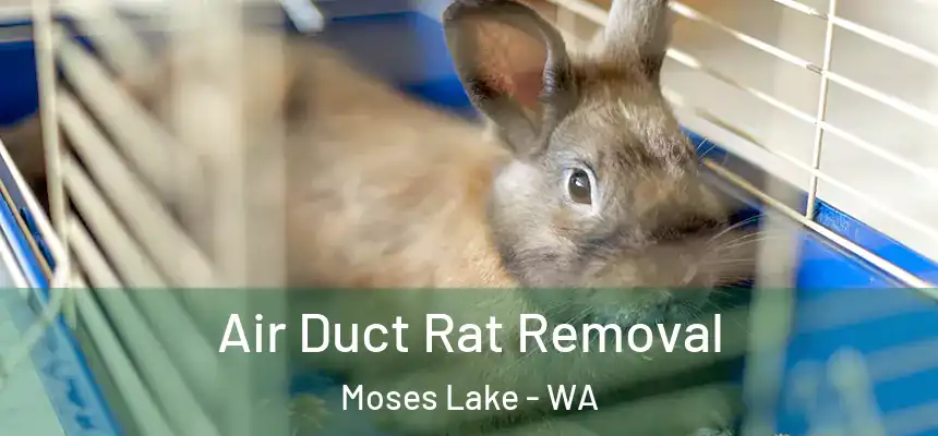 Air Duct Rat Removal Moses Lake - WA