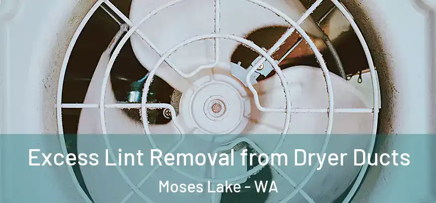  Excess Lint Removal from Dryer Ducts Moses Lake - WA