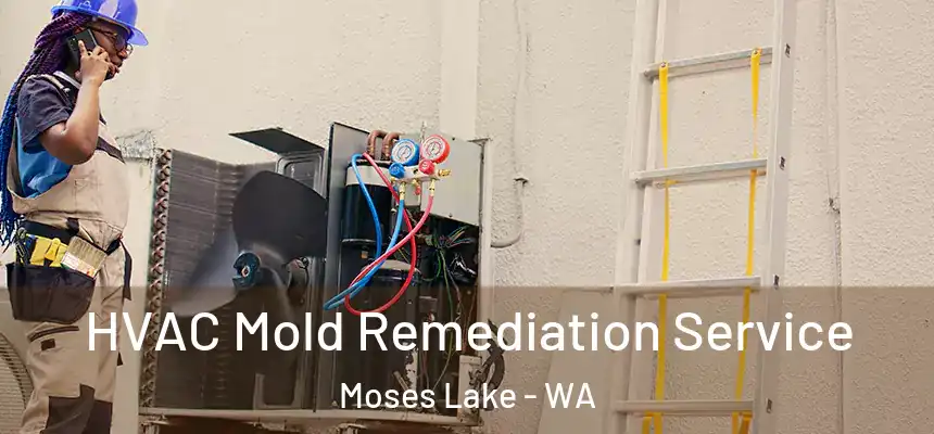  HVAC Mold Remediation Service Moses Lake - WA