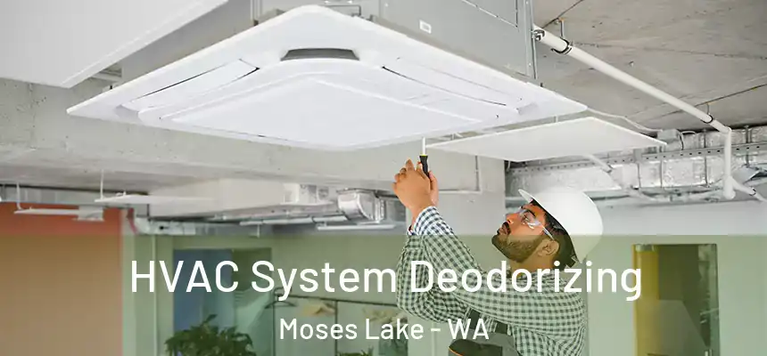  HVAC System Deodorizing Moses Lake - WA