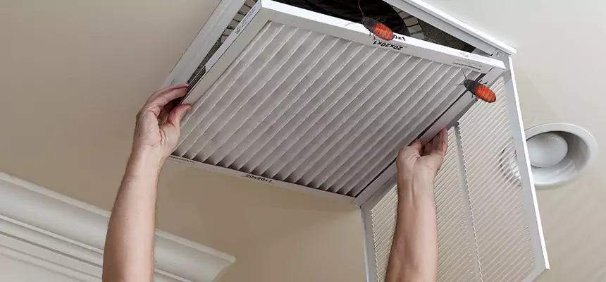 Preventive Cockroach-Proofing for Ducts in Moses Lake