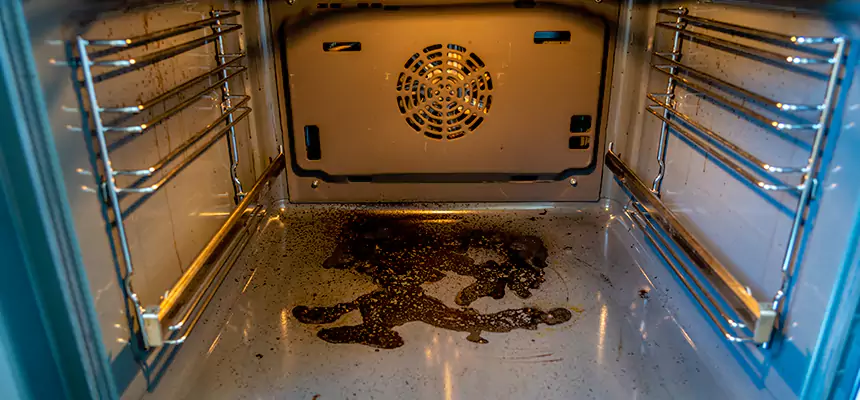 Our Dryer Vent Mold Cleaning Services in Moses Lake, WA