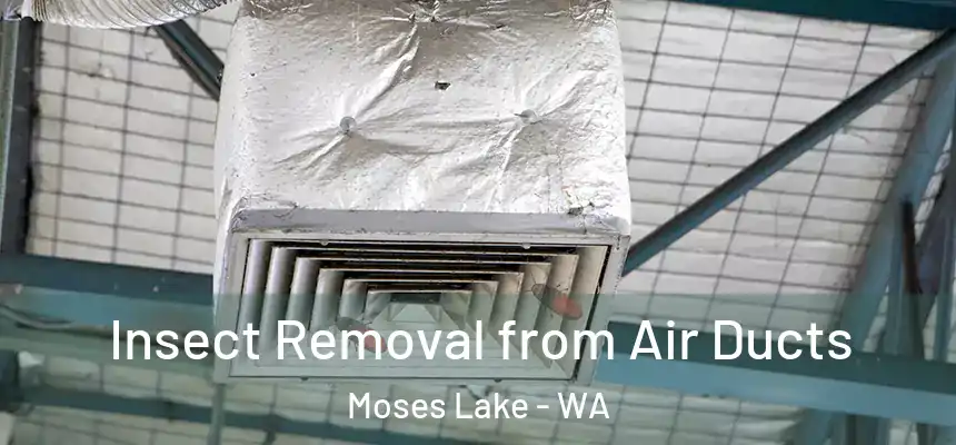  Insect Removal from Air Ducts Moses Lake - WA