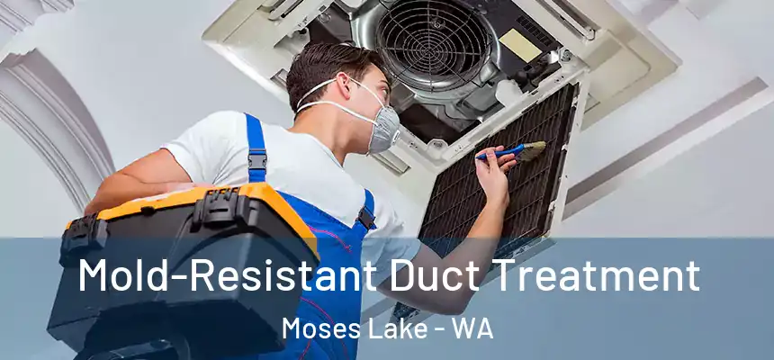 Mold-Resistant Duct Treatment Moses Lake - WA