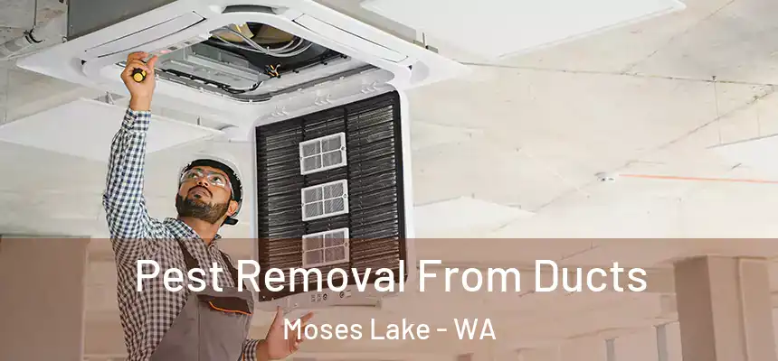 Pest Removal From Ducts Moses Lake - WA