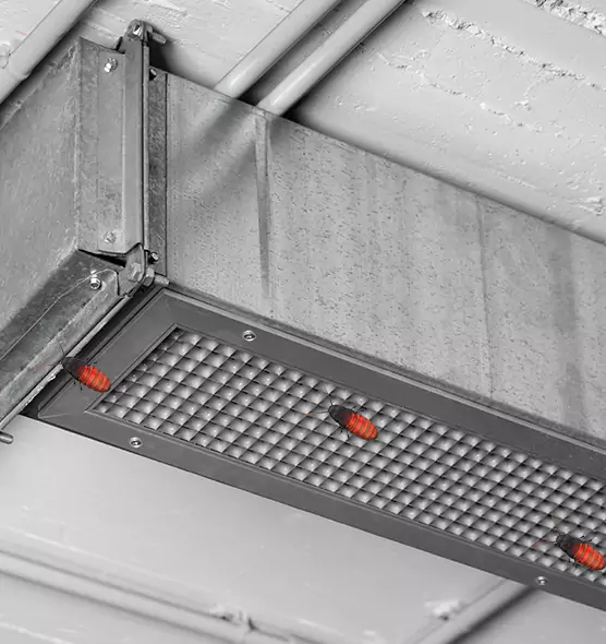 About Air Duct Cockroach Removal in Moses Lake, WA