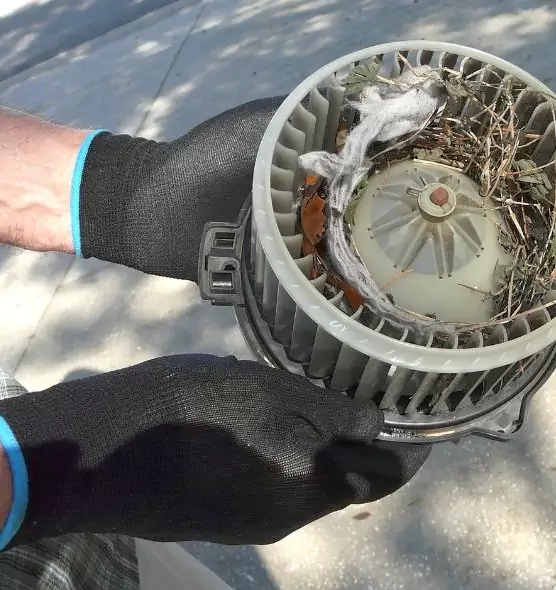 About Air Duct Rat Removal in Moses Lake, WA