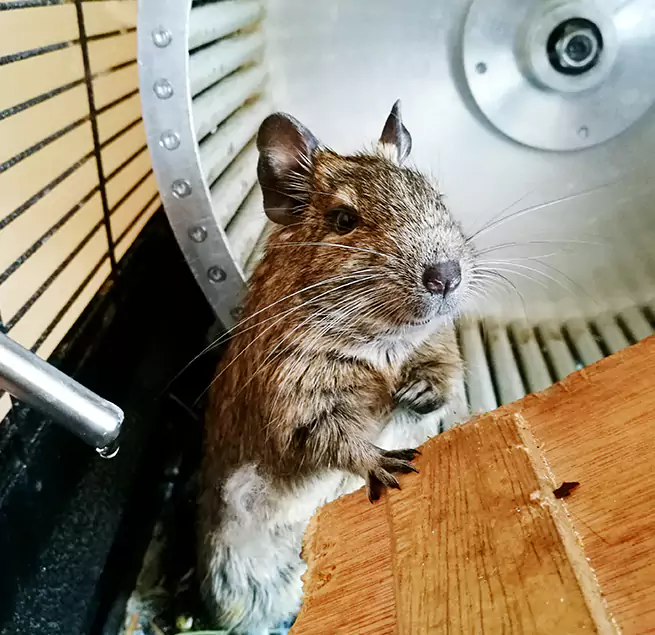 Why Homeowners & Businesses Trust Us Moses Lake, WA